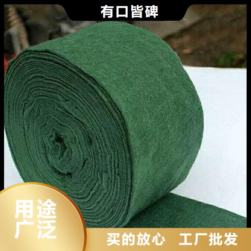 裹樹布_網格布產地廠家直銷