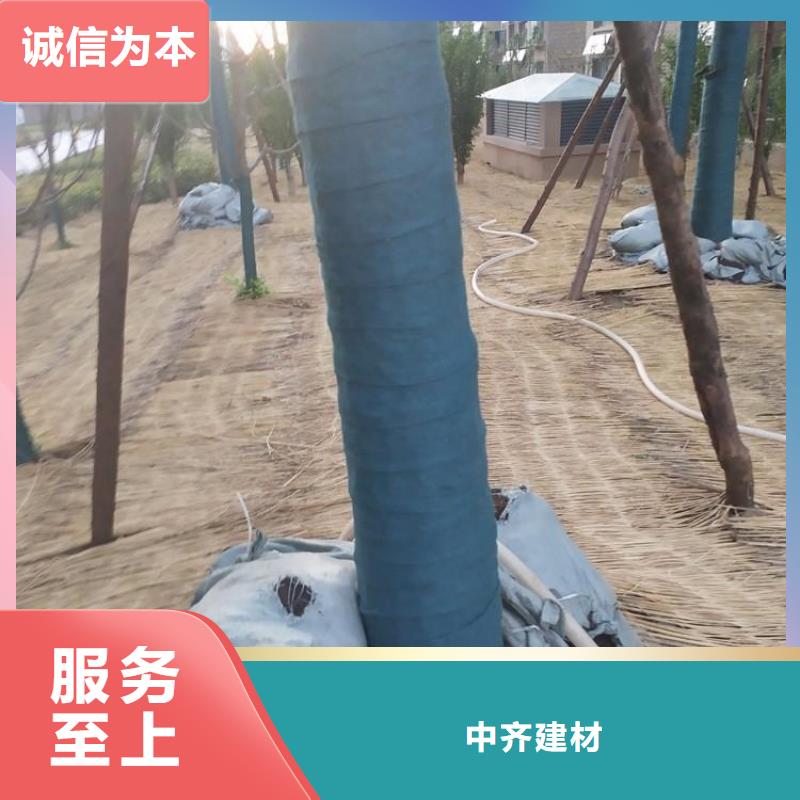 裹樹(shù)布土工膜貨源直供