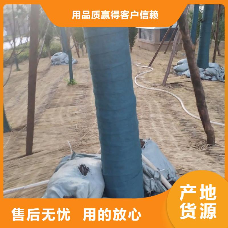 土工格栅视频-土工格栅|天水市|甘谷|秦州|平凉|陇南|金昌|酒泉|甘南|张掖