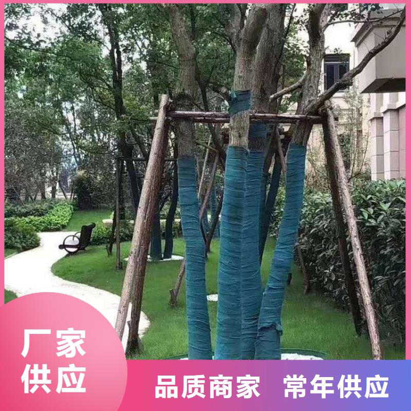 土工格栅视频-青海省黄南市中齐土工格栅可服务区域海南|海北|海东|海西|玉树|果洛|西宁等