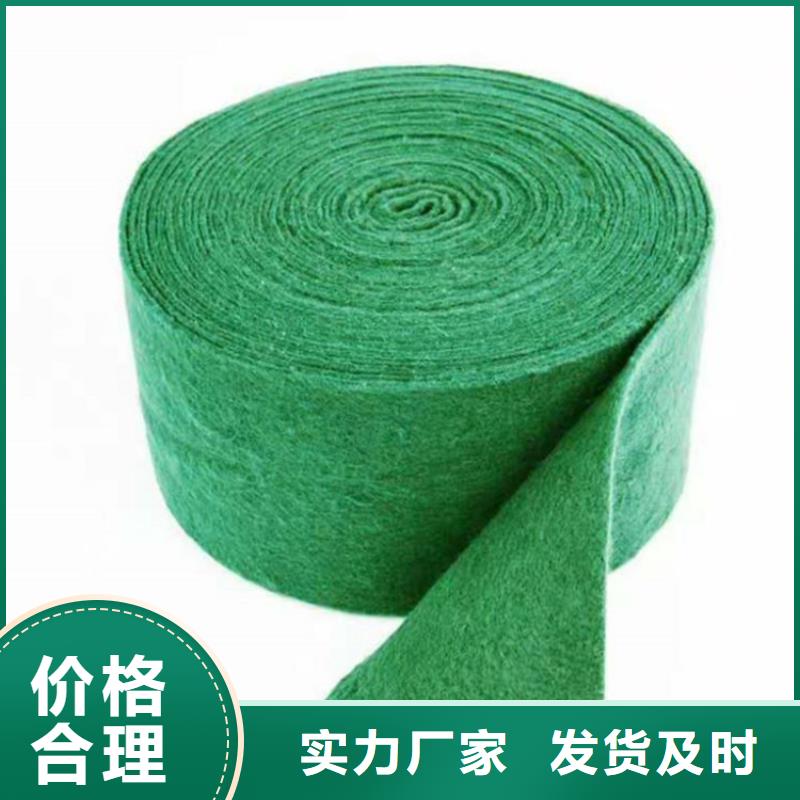 土工格栅视频-土工格栅-青海省黄南市(该地)服务商-海东|果洛|海西|海南|海北|玉树|西宁