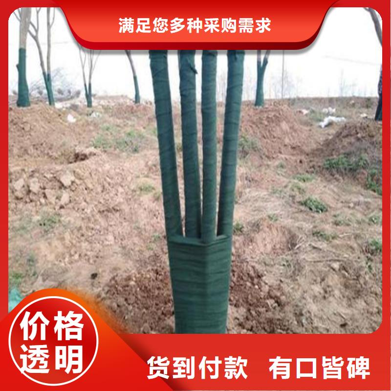 裹樹(shù)布土工膜貨源直供