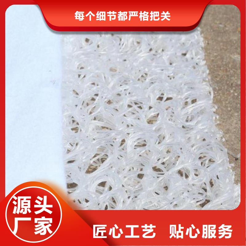 土工格栅视频-甘肃省定西市|通渭|漳县|嘉峪关|平凉|陇南|甘南|天水|酒泉土工格栅-中齐