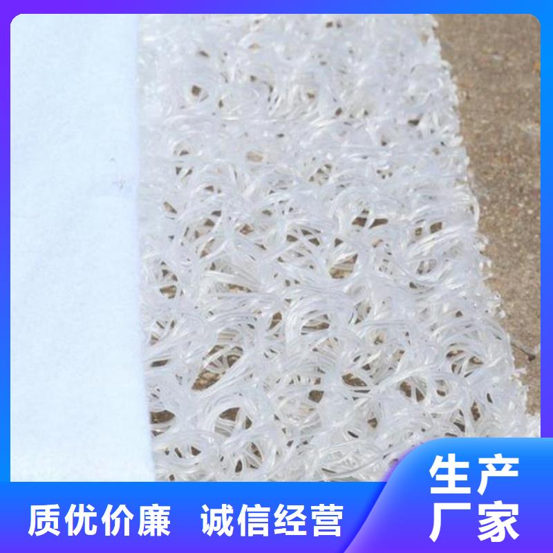 土工席墊_土工格柵放心購