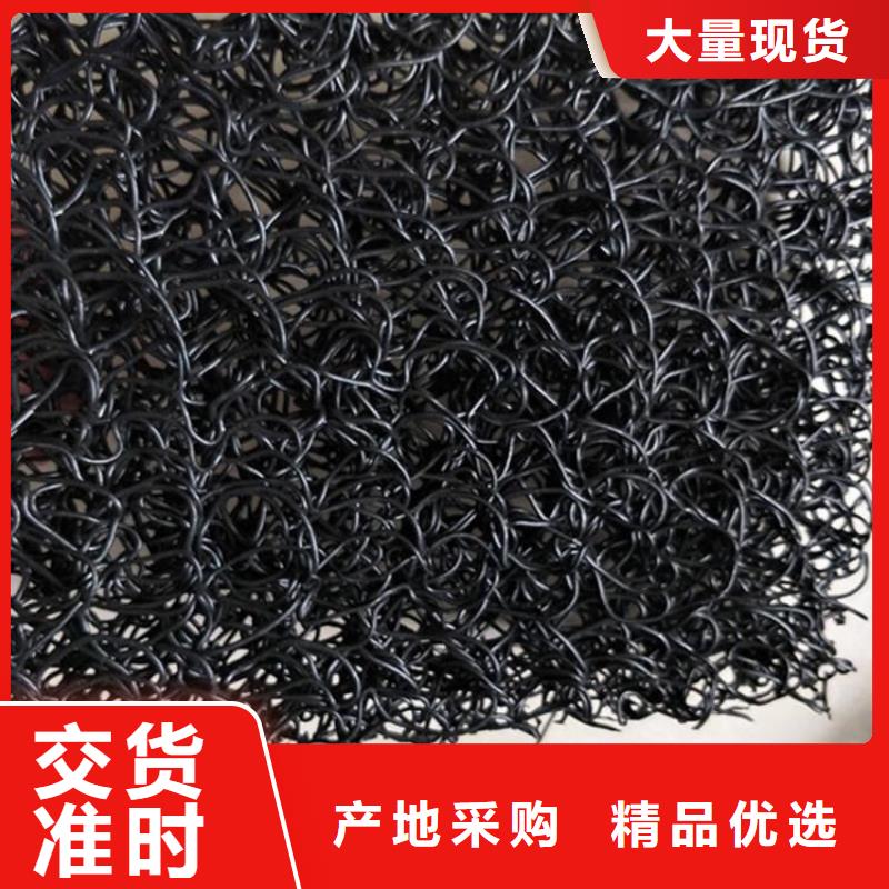 土工格栅视频-甘肃省定西市|通渭|漳县|嘉峪关|平凉|陇南|甘南|天水|酒泉土工格栅-中齐