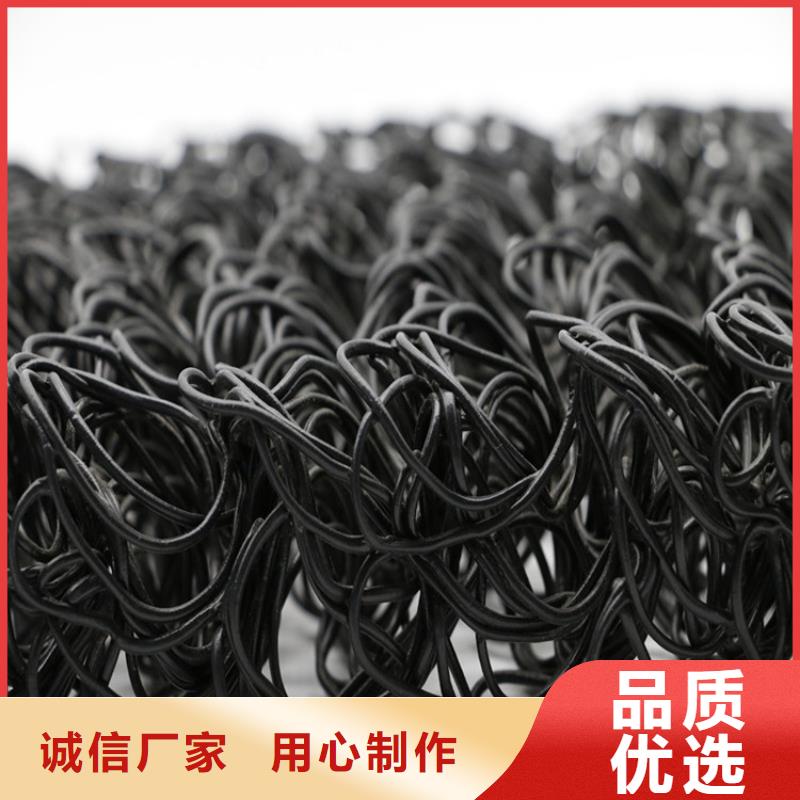 土工格栅视频-甘肃省定西市|通渭|漳县|嘉峪关|平凉|陇南|甘南|天水|酒泉土工格栅-中齐