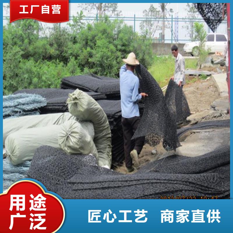 土工格栅视频-甘肃省定西市|通渭|漳县|嘉峪关|平凉|陇南|甘南|天水|酒泉土工格栅-中齐