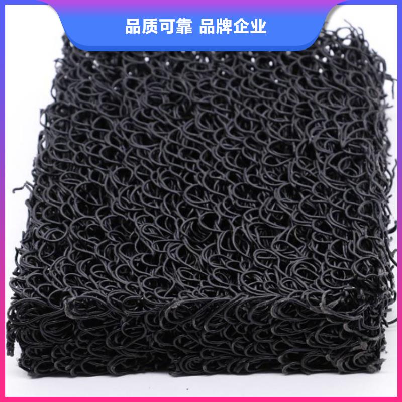 土工席墊HDPE土工膜根據要求定制