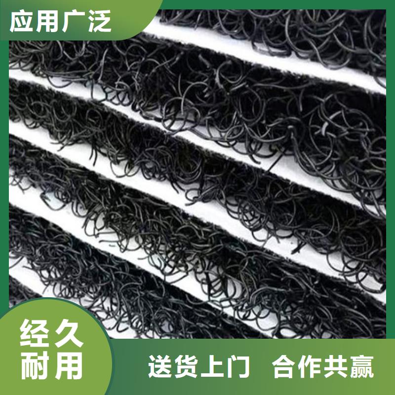 土工格栅视频-甘肃省定西市|通渭|漳县|嘉峪关|平凉|陇南|甘南|天水|酒泉土工格栅-中齐