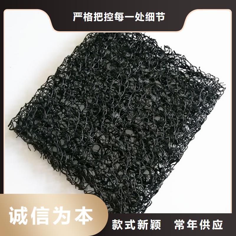 土工席墊-鋼塑格柵專業信賴廠家