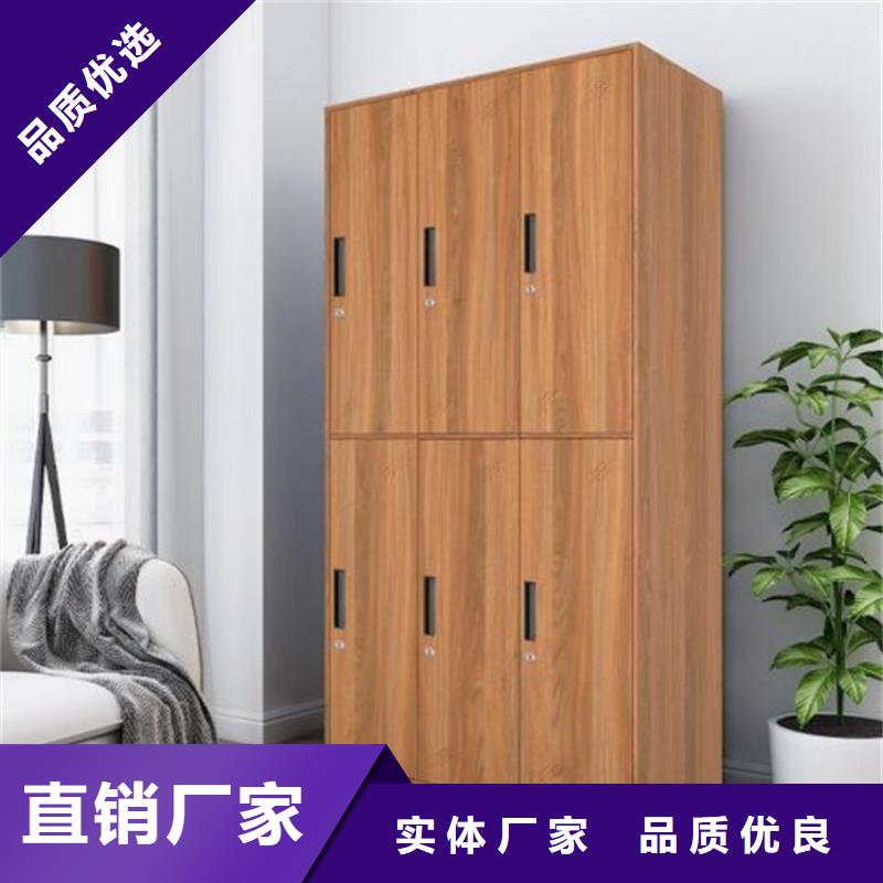 二门铁皮柜图书架