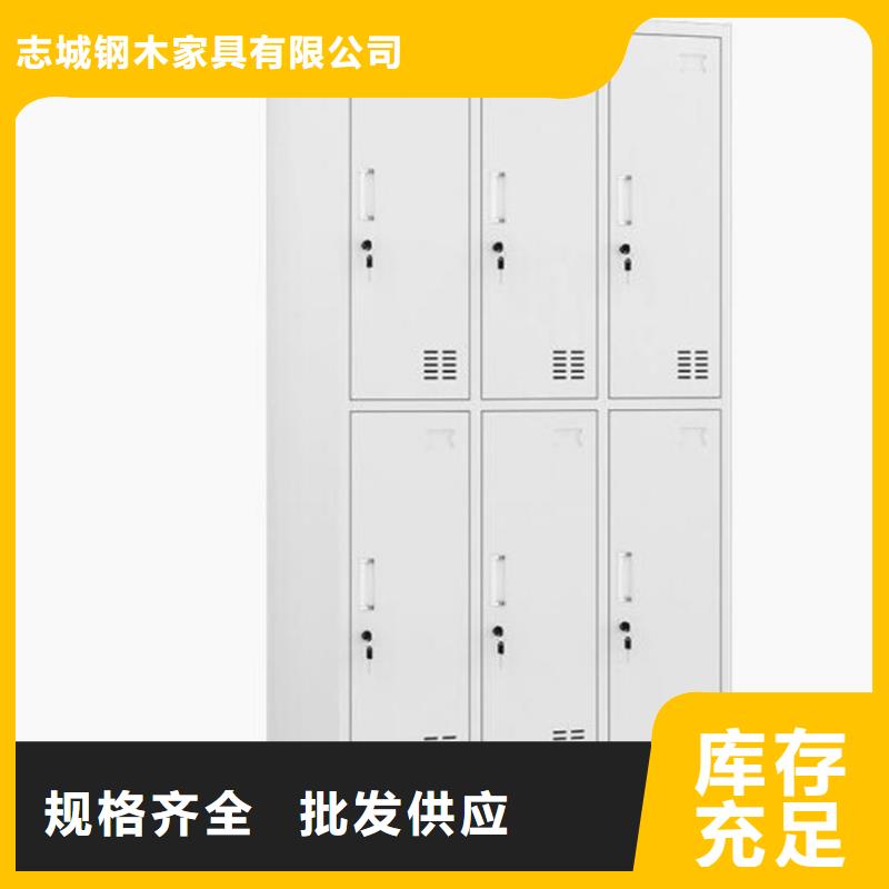 二门铁皮柜双柱钢制书架