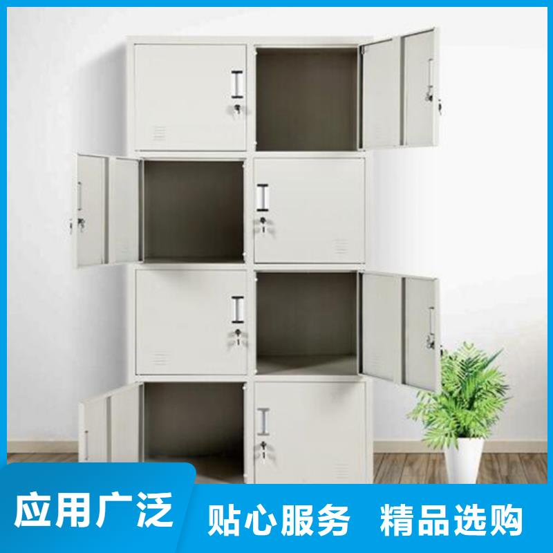 臨縣兩門(mén)鐵皮柜生產(chǎn)廠家