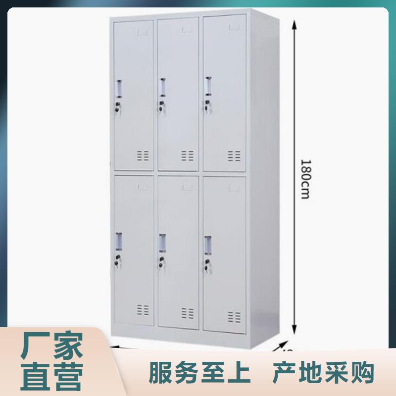 二门铁皮柜图书架