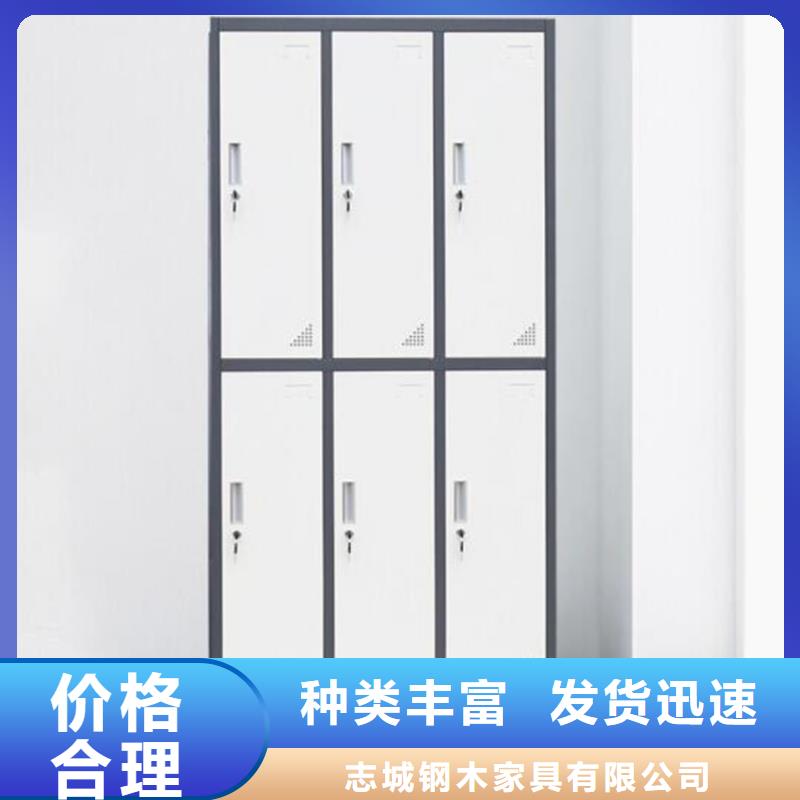 二门铁皮柜双柱钢制书架