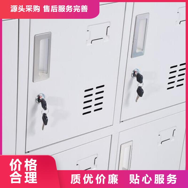 二门铁皮柜图书架