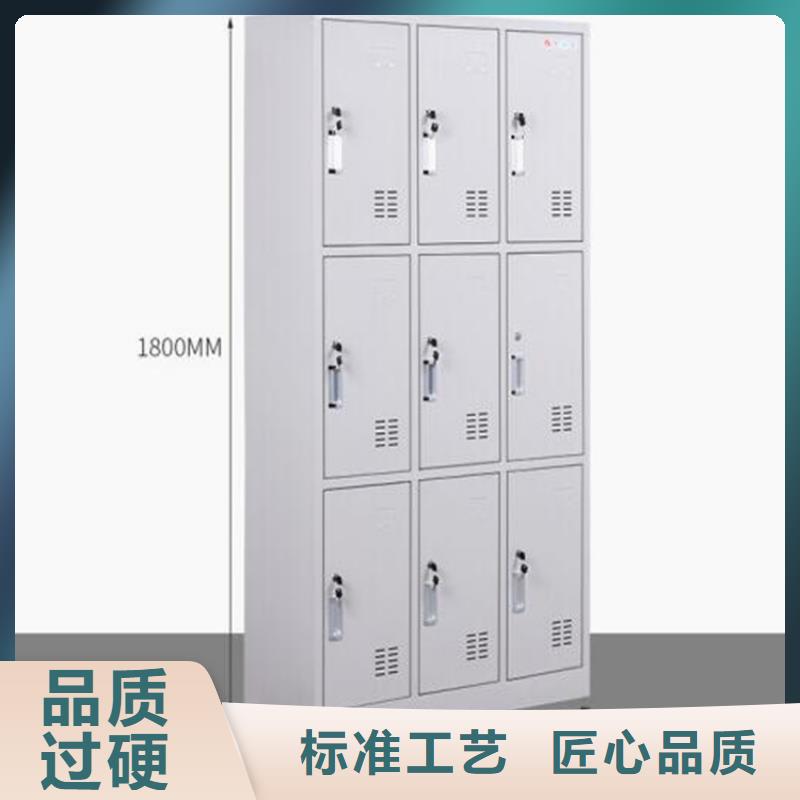 二门铁皮柜图书架