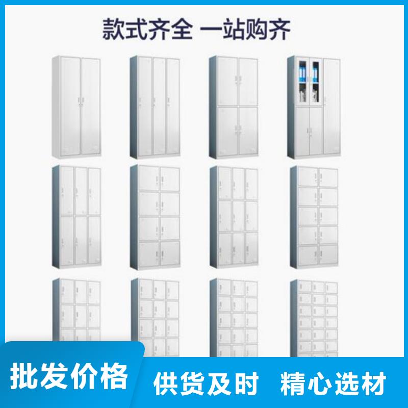 二门铁皮柜图书架
