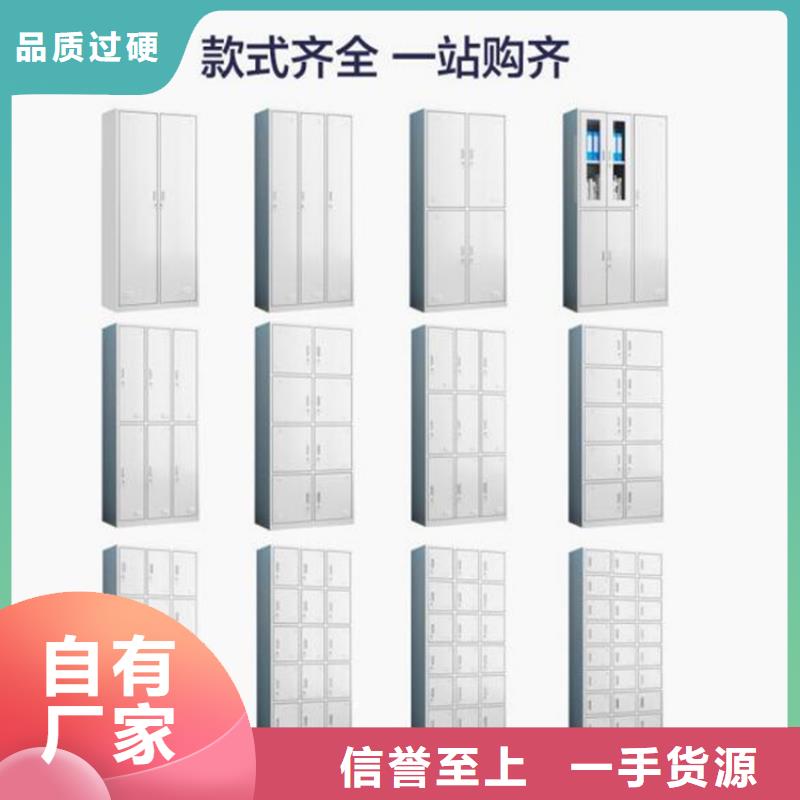 二门铁皮柜双柱钢制书架