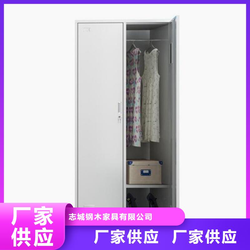 二门铁皮柜图书架