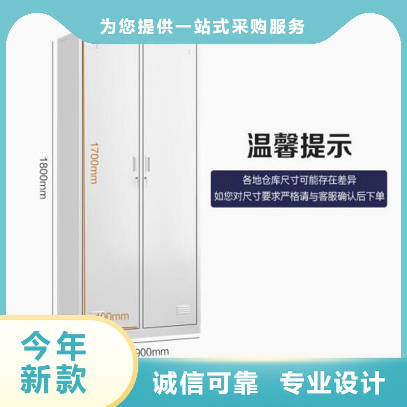 二门铁皮柜双柱钢制书架