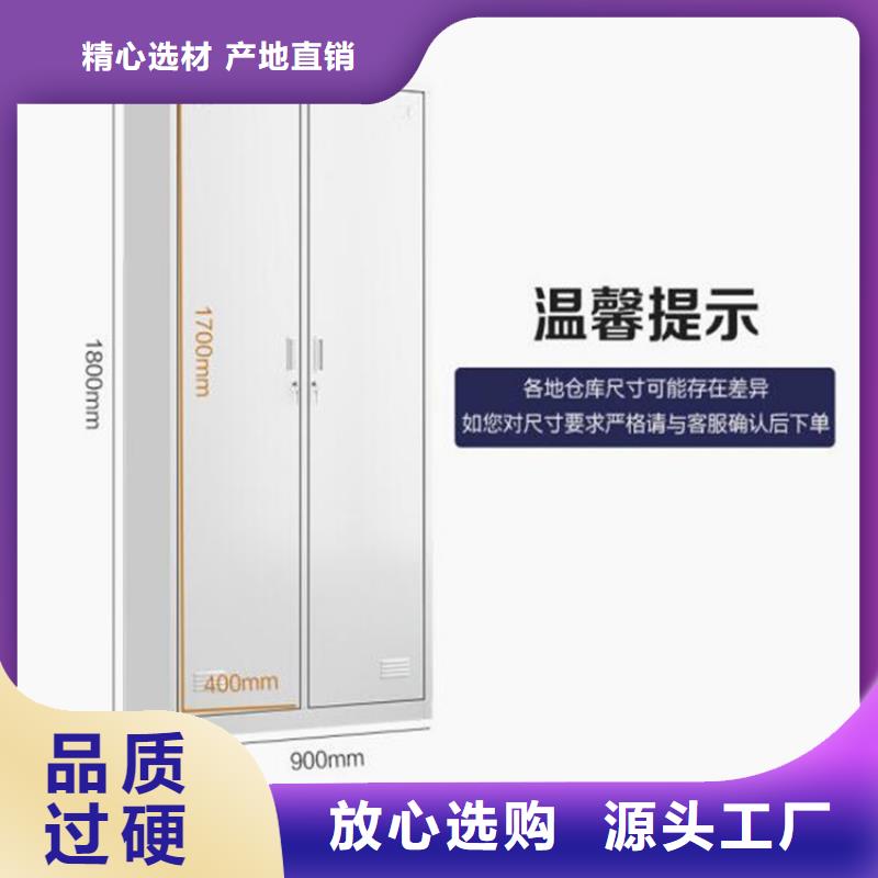 二门铁皮柜图书架