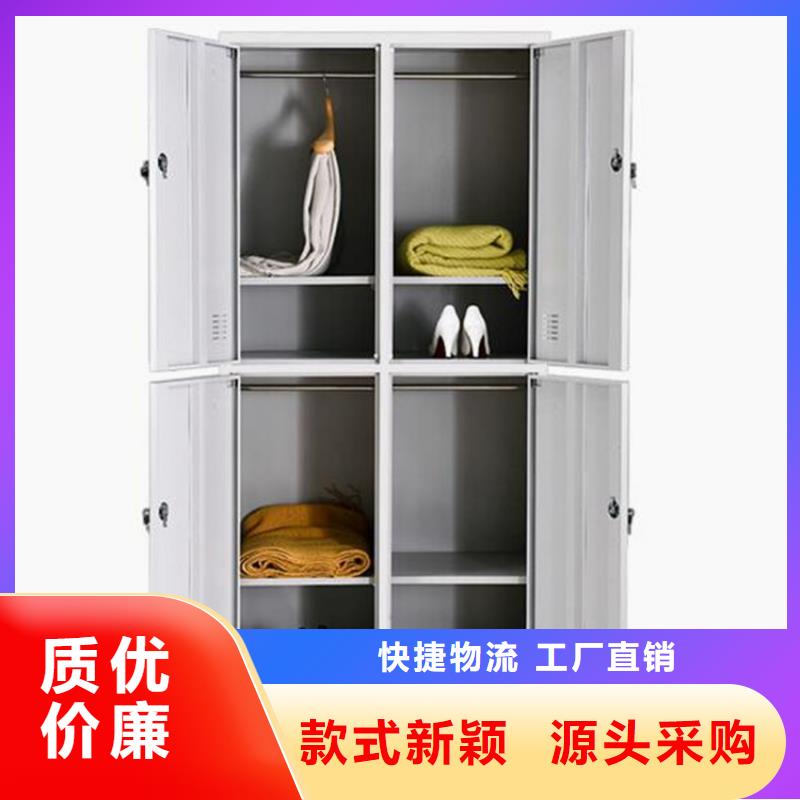 二门铁皮柜图书架