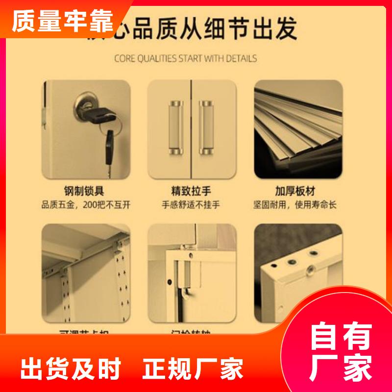 二门铁皮柜双柱钢制书架