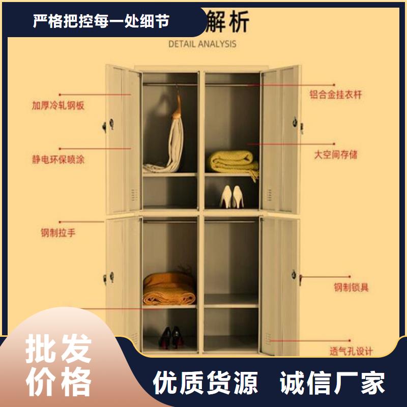 二门铁皮柜图书架