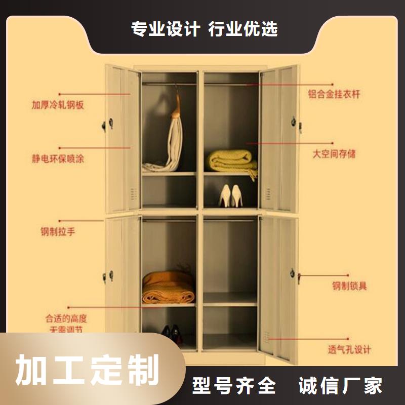 二门铁皮柜双柱钢制书架