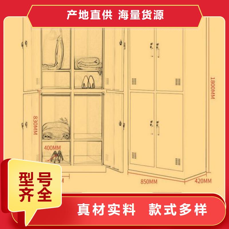 二门铁皮柜图书架