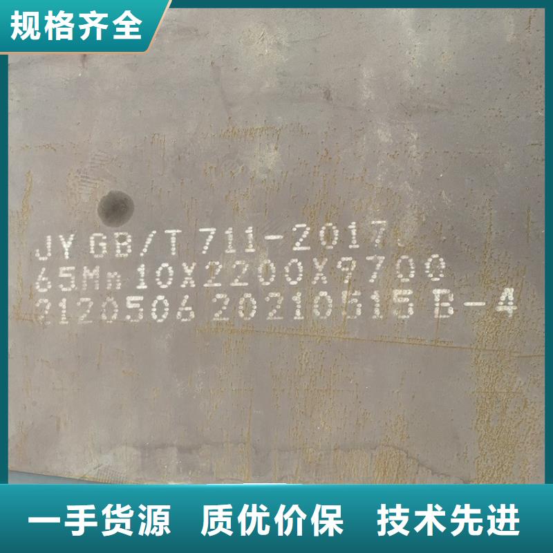嘉興彈簧鋼板下料廠家