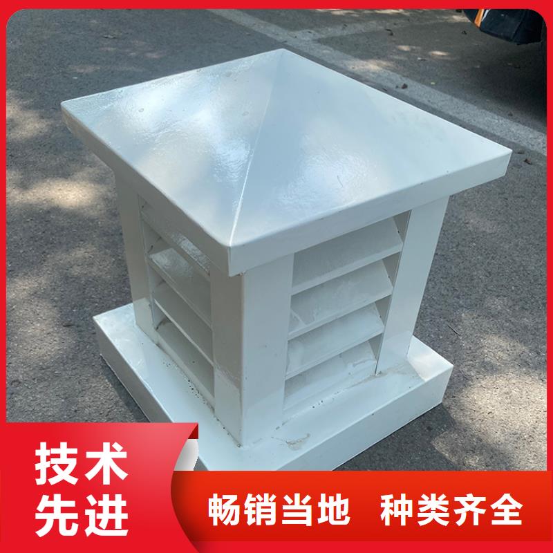安慶G系列排氣道風帽顏色可定制