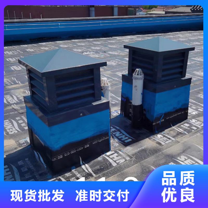 B系列拔氣風帽質優(yōu)價廉