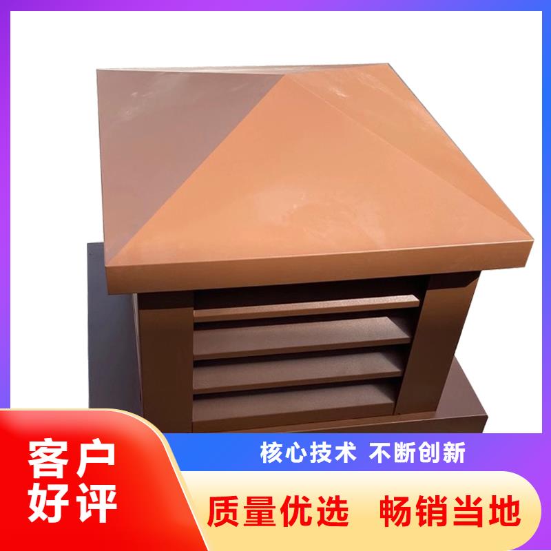 樓頂煙道自立式風(fēng)帽顏色支持定制