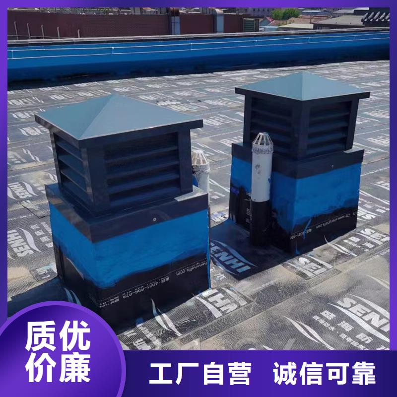 滄州A系列排氣道風帽根據尺寸定制