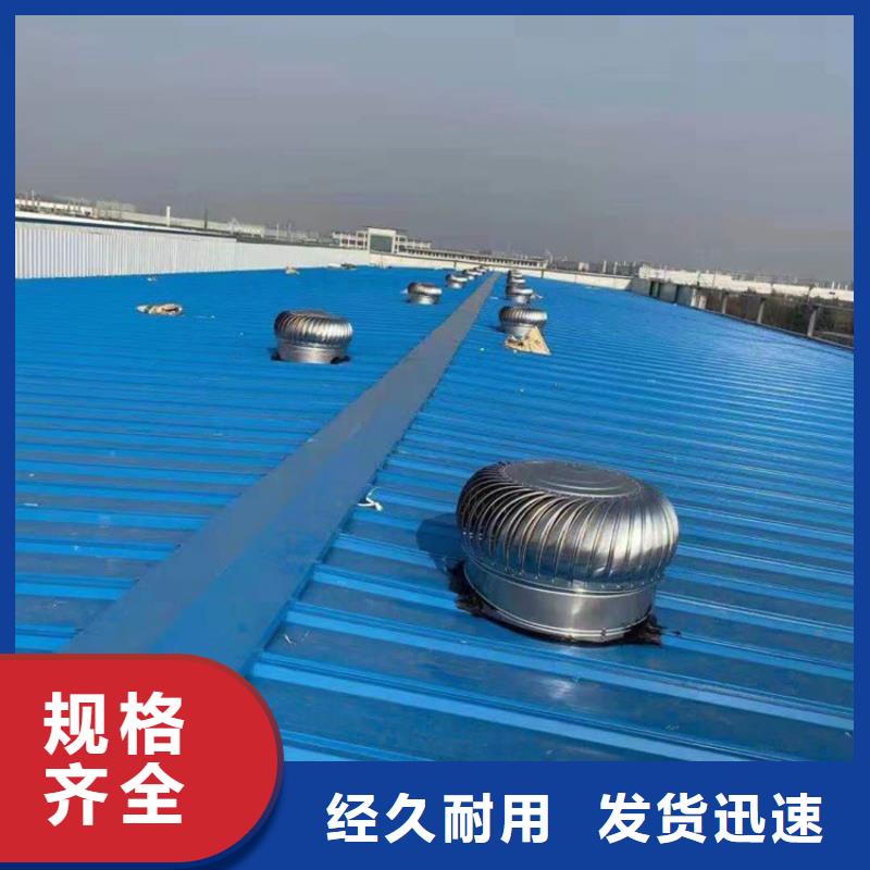 保定全304材質(zhì)無動力風(fēng)球采購價(jià)格