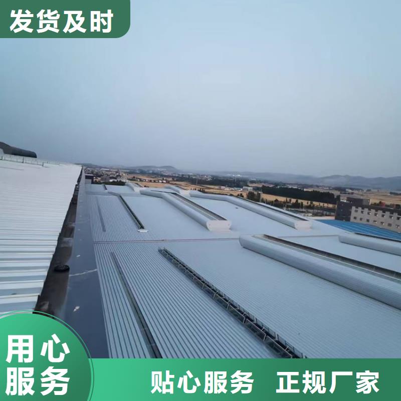 丹東圓拱型采光天窗屋脊天窗