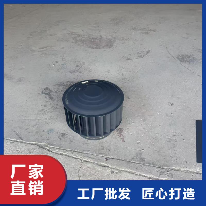 县A-FM-BPS500型风帽欢迎来电