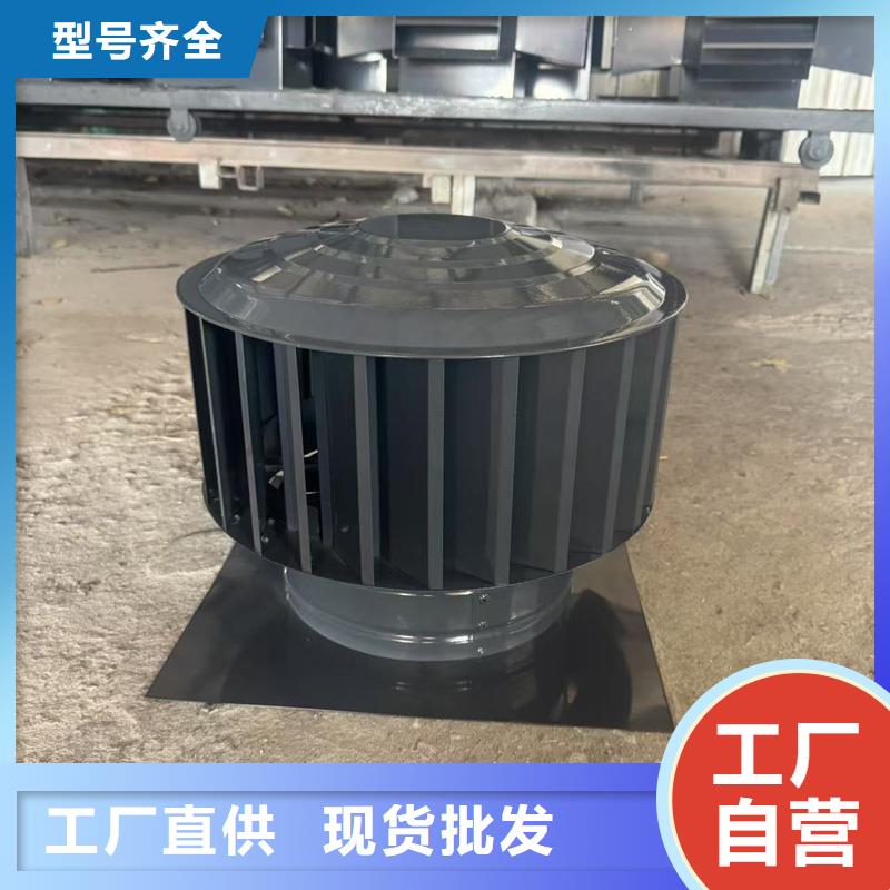 F-FM-WM型风帽-多年大厂