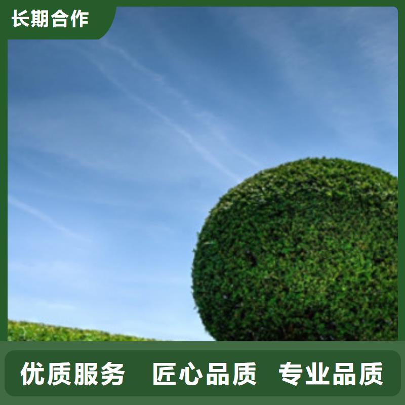 工程预算竣工结算好评度高