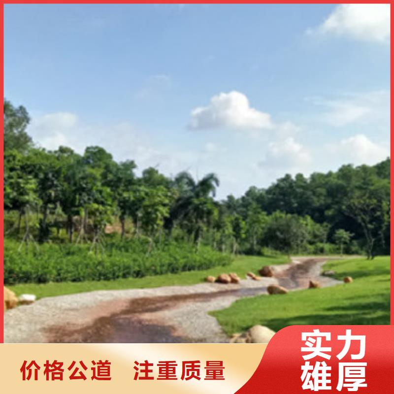 曲阜做預算造價分公司