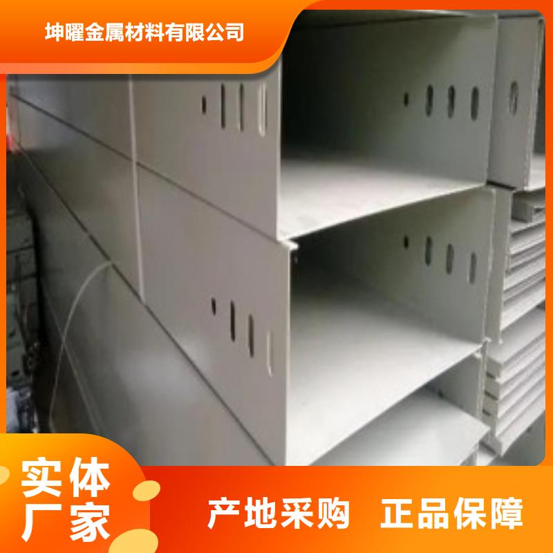 专业生产制造钢制桥架