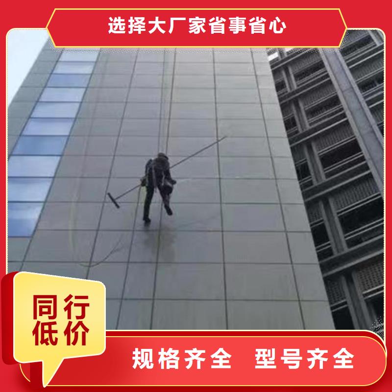 外墻清洗_害蟲(chóng)防治顏色尺寸款式定制