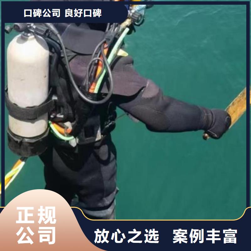 魯山縣水下救援解決方案