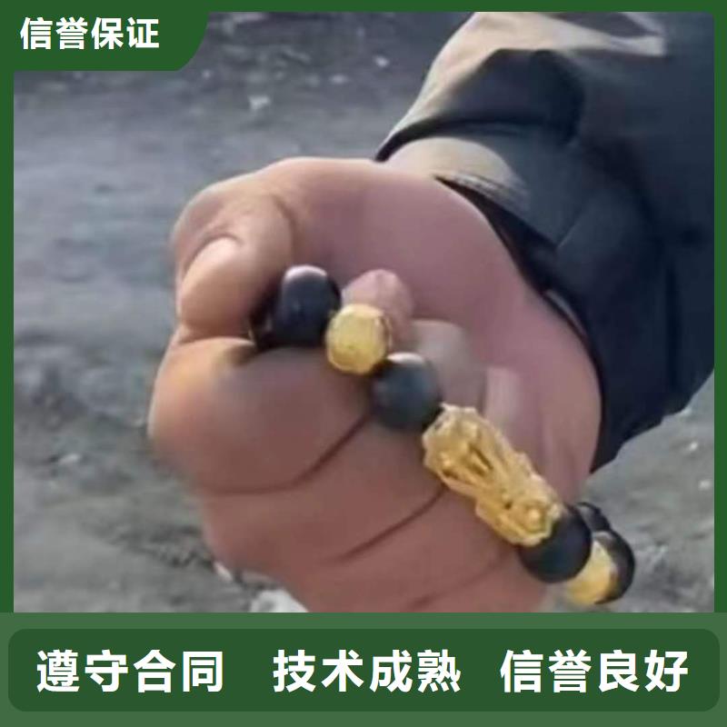 潜水打捞手表视频-天津市潜水打捞手表-同城可服务区域宝坻|滨海新|南开|东丽|和平