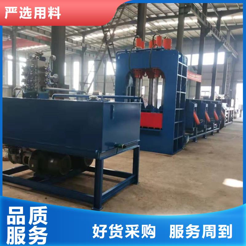 龍門剪金屬撕裂機(jī)快捷物流