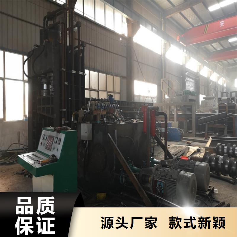 龙门剪立式龙门剪本地配送