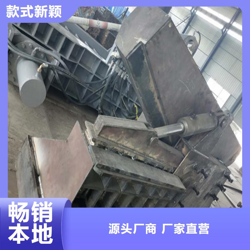 龍門剪撕碎機廠家大廠家實力看得見