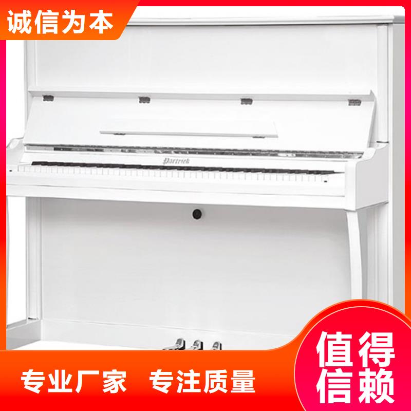 鋼琴帕特里克鋼琴需求代理優良材質